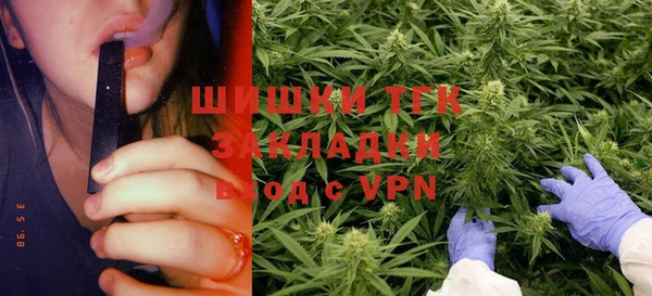 скорость Ладушкин