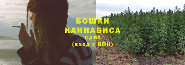 первитин Лагань