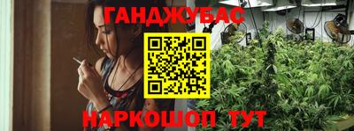 СК Абакан