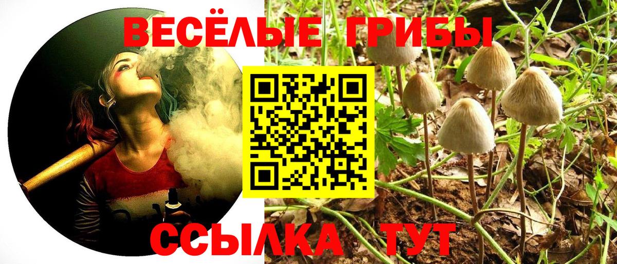 Галлюциногенные грибы мухоморы Лянтор