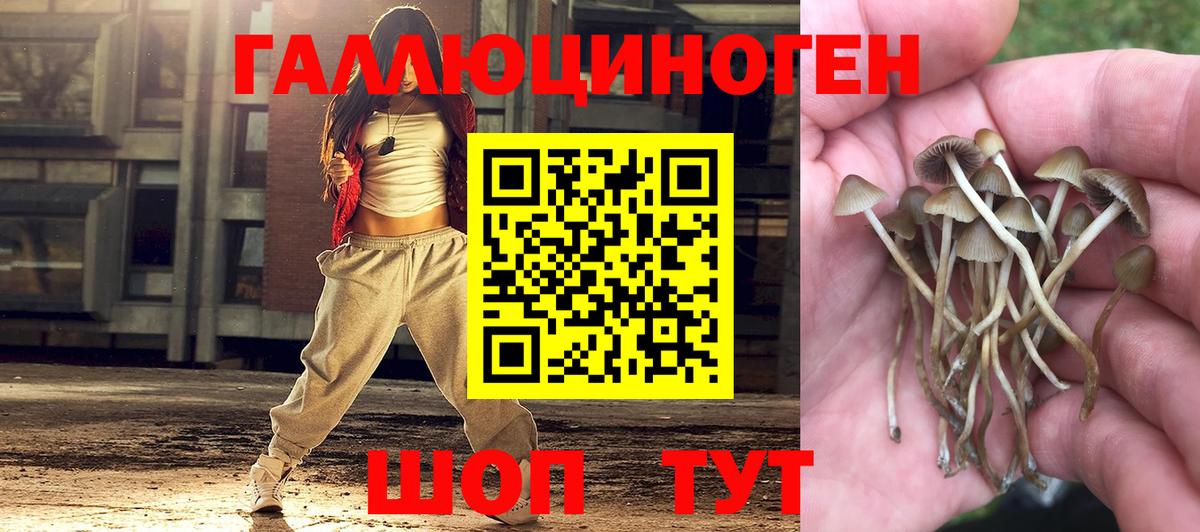 Галлюциногенные грибы Cubensis  Вход с VPN  Лянтор 