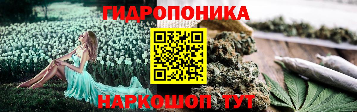 Шишки марихуана планчик Лянтор